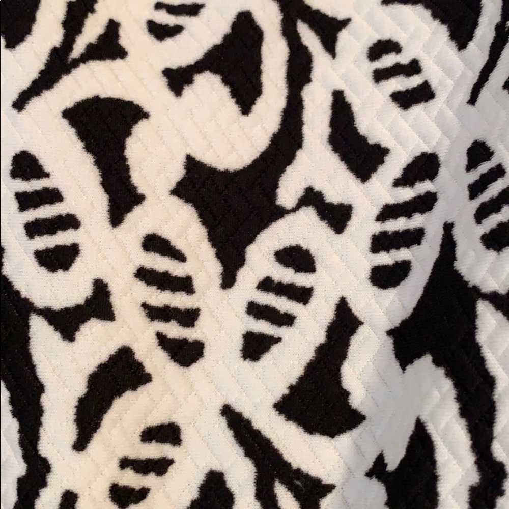 Black and White Dress - Picture 5 of 5
